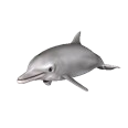 Dolphin Object (used for Alonely animations) 1.0.0