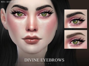 Divine Eyebrows N53