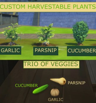 Trio of Veggies - Custom Garlic, Parsnip and Cucumber