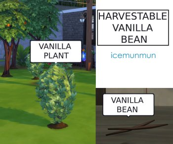 Custom Harvestable Vanilla Bean