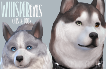 Default Whisper Eyes - Cats & Dogs