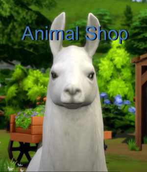 Animal Shop!