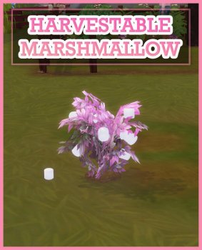 Harvestable Marshmallow