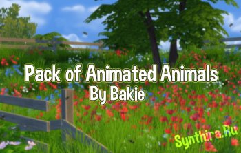 Pack of Animated Animals