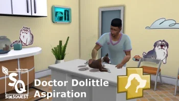 Doctor Dolittle Aspiration (17.12.2023)