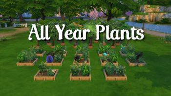 All Year Plants