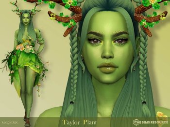 Taylor Plant by MSQSIMS