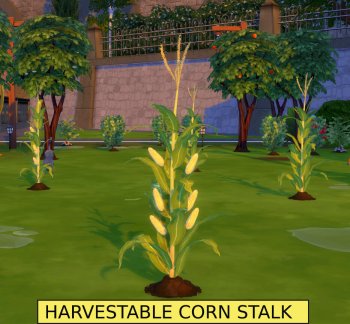 Harvestable Corn Stalk + Optional-Popcorn Popper requires Corn Override