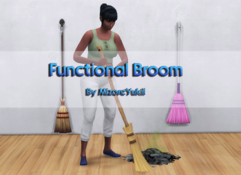 Functional Broom