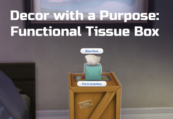 Decor with a Purpose: Functional Tissue Box