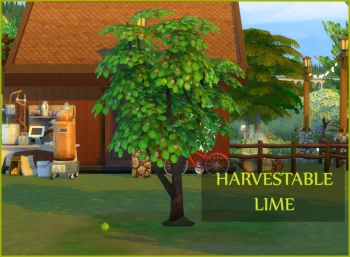 Lime Harvestable