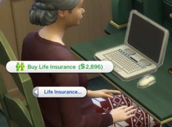 Insurance Company Life Insurance