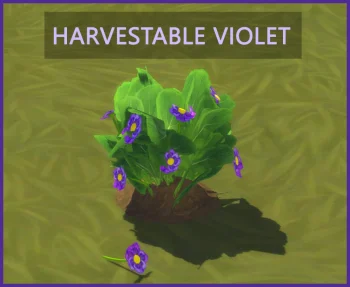 Harvestable Violet