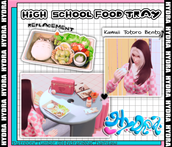 High School Food Replacement - Kawaii Totoro Bento