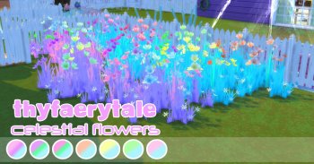 Vibrant Celestial Flowers
