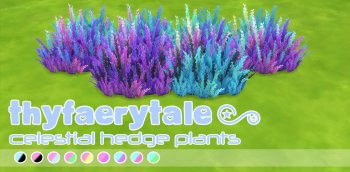 Celestial Hedge Plants