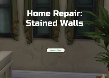 Home Repair: Stained Walls