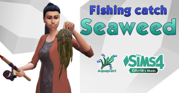 Edible Seaweed: Fishing reward and Cooking ingredients