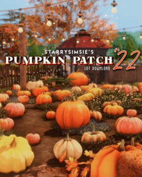 Pumpkin Patch '22 - Lot
