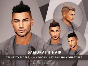 Samurai II Hair by SonyaSims