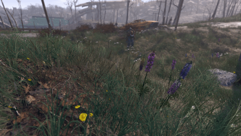 Spring in the Commonwealth - A Performance Friendly Grass Mod