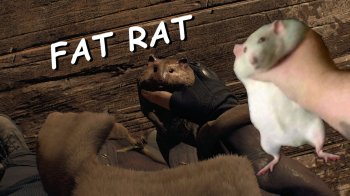 meme Fat Rat (Replace heavy grenade)