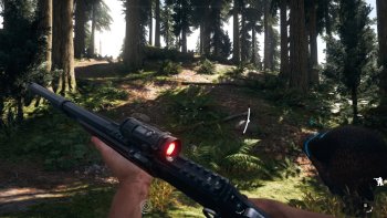 Far Cry 5 - Competent Weapons