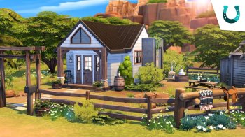 Modern Farmhouse Tiny