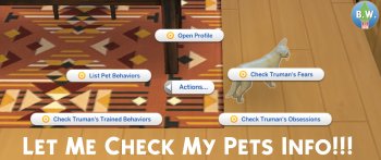 Let Me Check My Pets Info Mod
