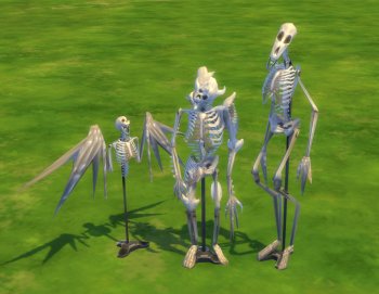 Skeletons of some really weird creatures