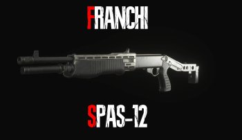 Franchi Spas-12