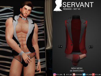 Servant Remake - Set V2 (Explicit)