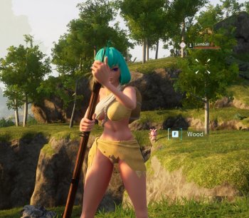 Skimpy Cloth Armor Outfits (Less Skimpy And Skimpy Versions)