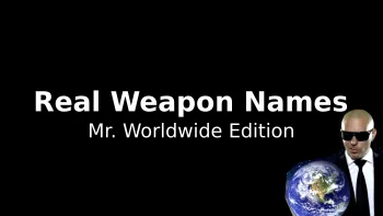 Real Weapon Names (Mod and Patch ready)